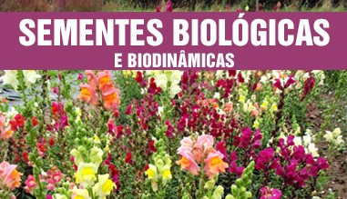 Sementes Biológicas - Plantas e Flores Aromáticas e Medicinais